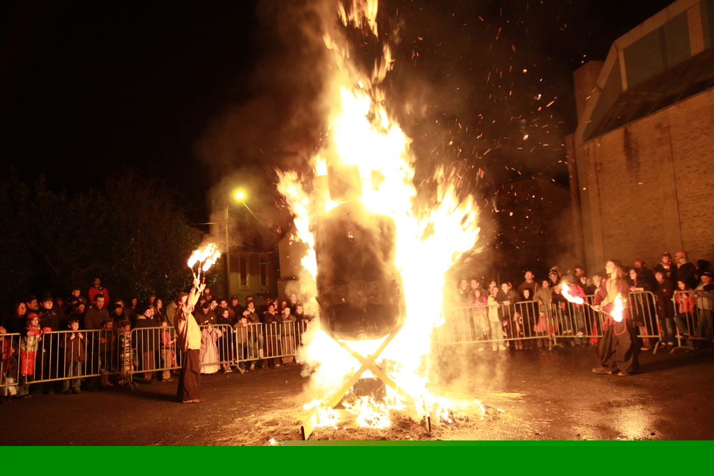 b�cher 2011